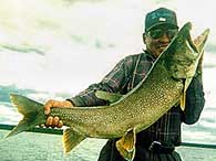 monster trout